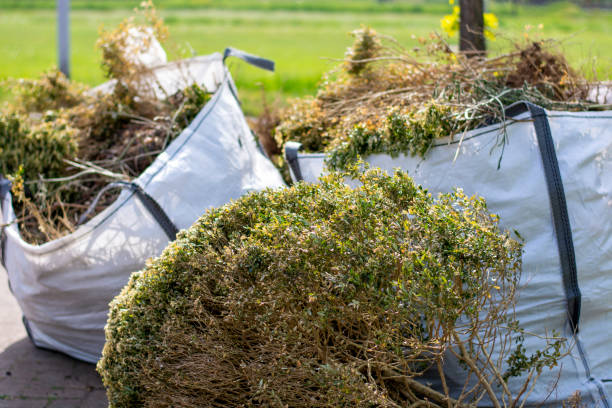 Best Junk Removal Near Me  in Spotswood, NJ